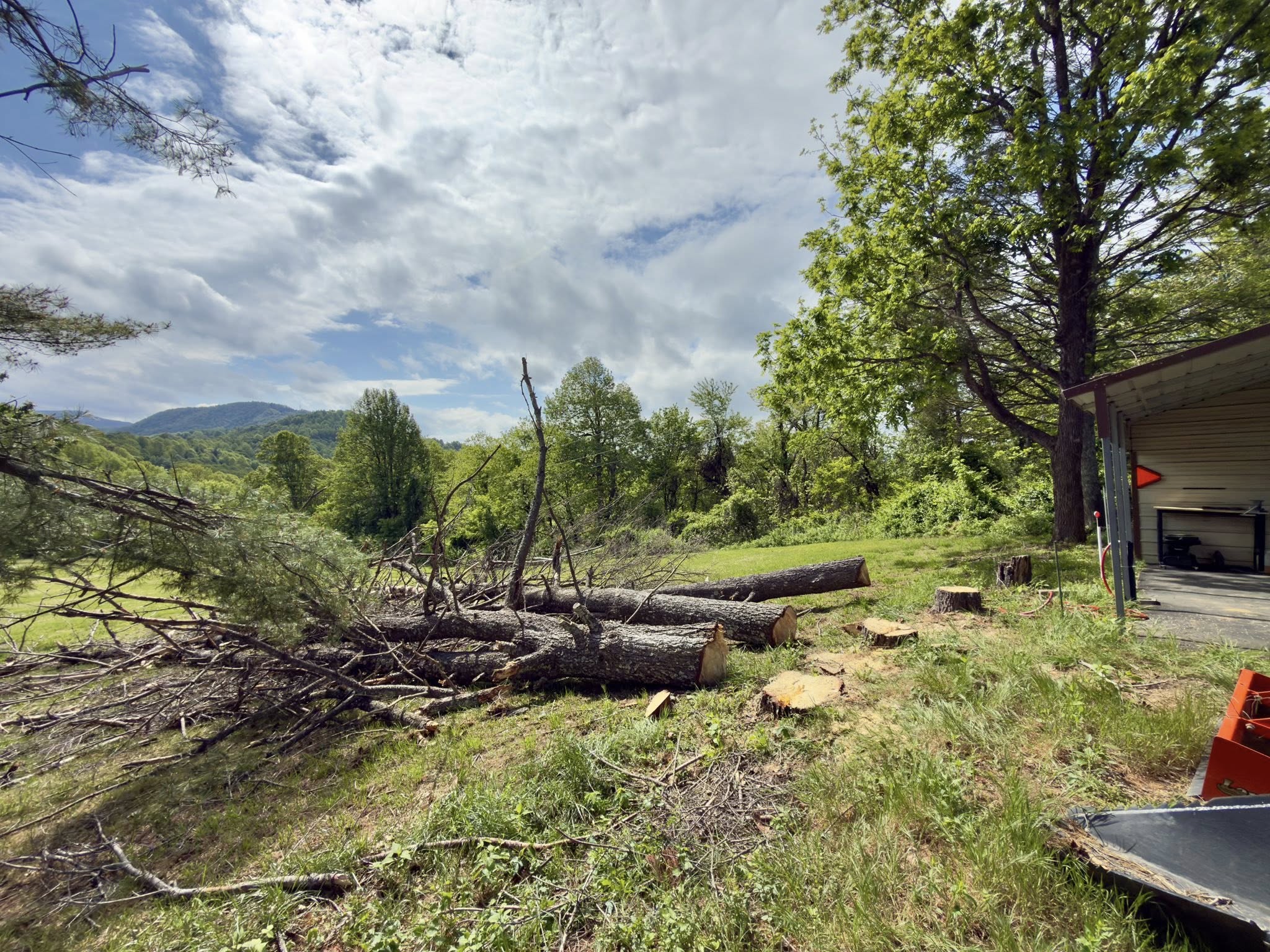 Cut tree sections and brush staged on a Roanoke area property after cleanup work